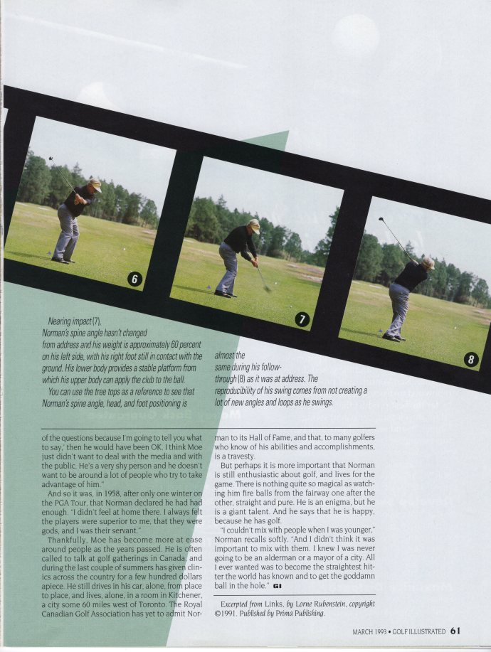 The Best Swing Ever 4.jpg