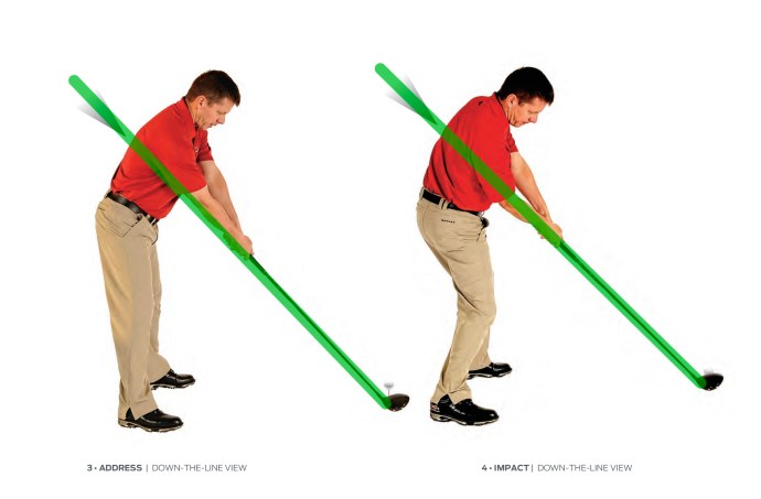 Address to Impact SPS.jpg