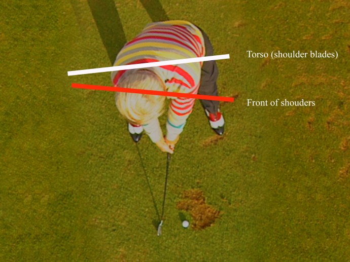 Moe Overhead Poster no lines copy