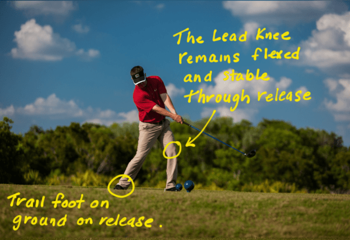 Todd Lead Knee Trail Foot Single Plane Swing